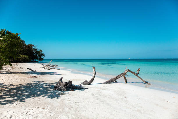 istock Beach in the Caribbean in Jamaica 962897652
