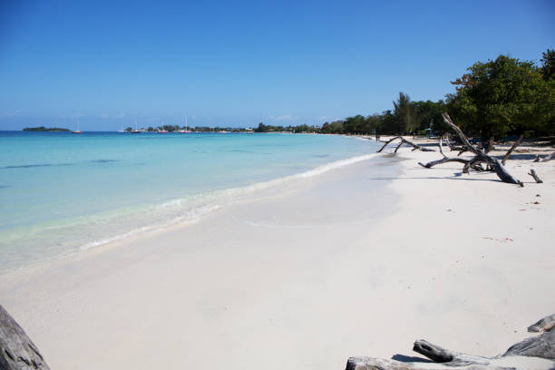 istock Beach in the Caribbean in Jamaica 962897678