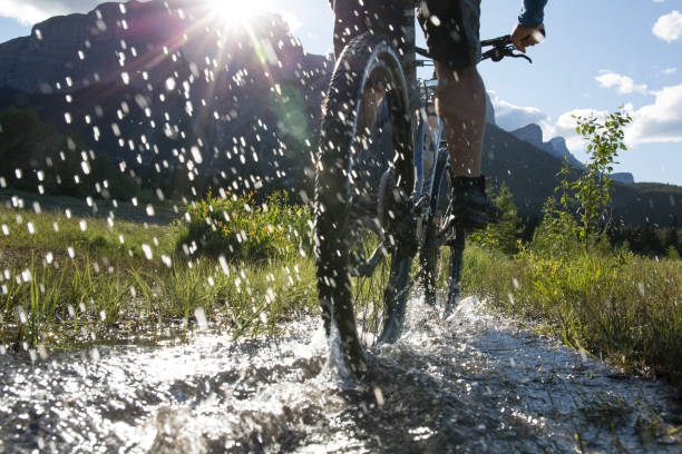 istock Man bikes upstream in mountain meadow 962898846