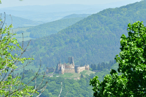 old ruins of castle Zborov Slovakia view behind the trees