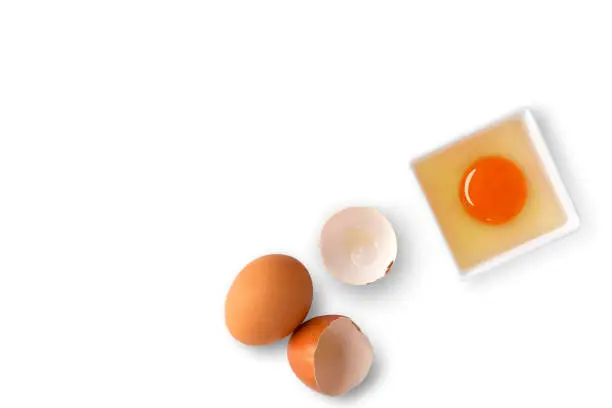 Photo of Fresh raw egg.
