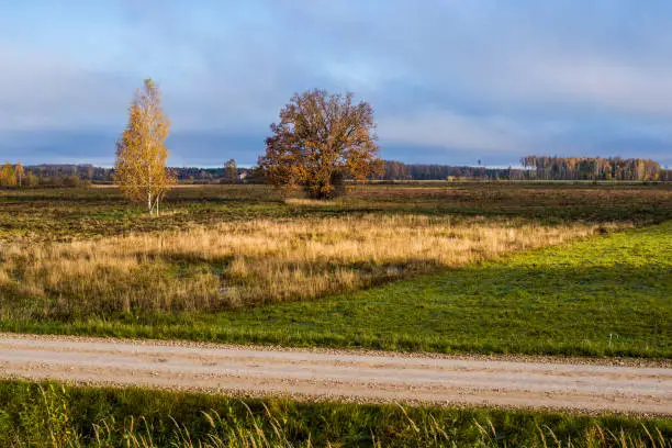 A view of the country road on a sunny day, Latvia