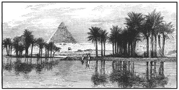 пирамиды гизы во время наводнения на ниле - egypt pyramid cairo camel stock illustrations