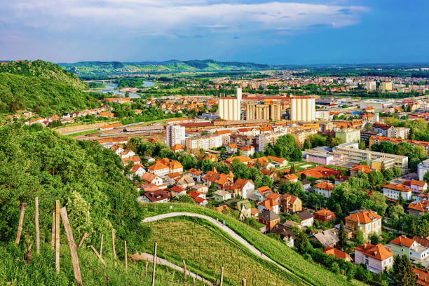 ピラミド ヒルとスロベニアのマリボルの町並みにブドウ畑 - travel destinations hill landscape house ストックフォトと画像