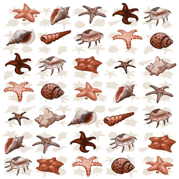 istock The texture of seashells and starfish. Sketch for a card or poster on a marine theme. Vector illustration 962940250
