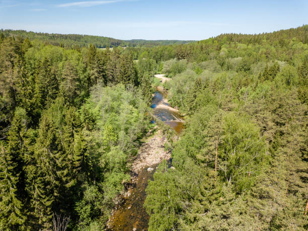 istock drone image. aerial view of rural area with river in forest 962948702