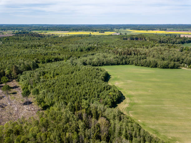istock drone image. aerial view of rural area with fields and forests 962948812