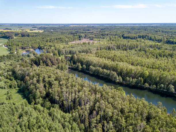 istock drone image. aerial view of rural area with fields and forests 962948884