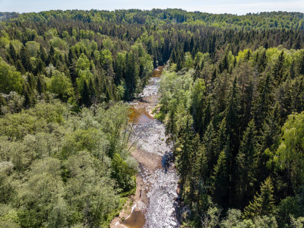 istock drone image. aerial view of rural area with river in forest 962951382