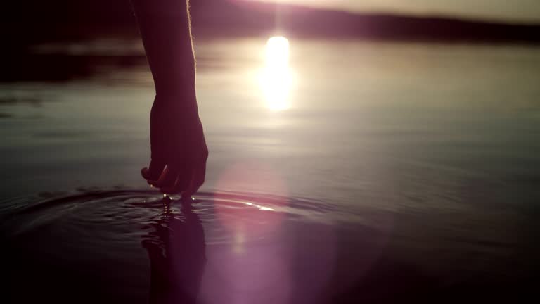 Cooling off in the lake. Sunset