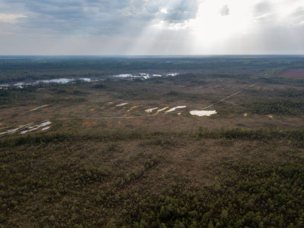 istock drone image. aerial view of swamp lake 962953134