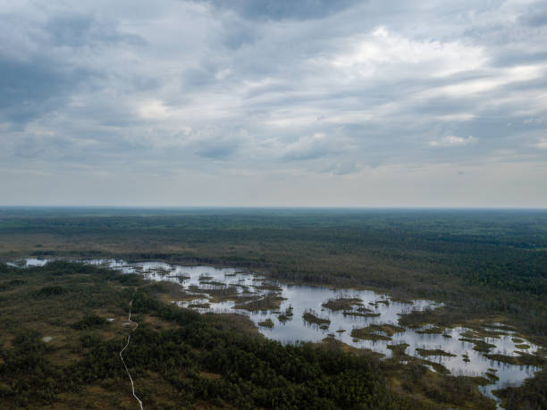 istock drone image. aerial view of swamp lake 962953148