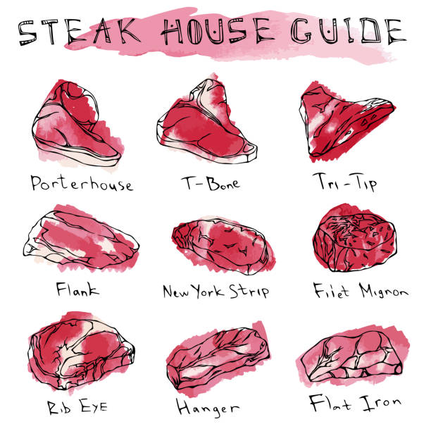 水彩画人気ステーキ タイプを設定します。牛肉のカット。肉精肉店のステーキハウス レストラン メニュー ガイドです。手描きイラストです。savoyar 落書きスタイル。ポーターハウス、t ボ� - steak meat t bone steak raw点のイラスト素材／クリップアート素材／マンガ素材／アイコン素材
