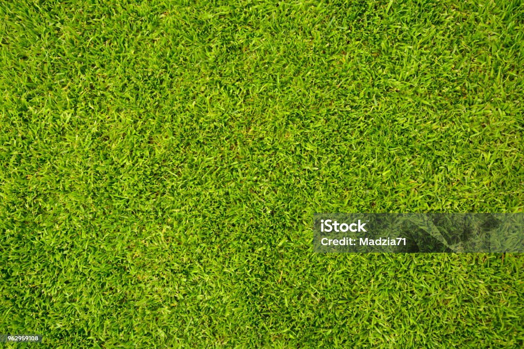 Grass - Lizenzfrei Rasen Stock-Foto