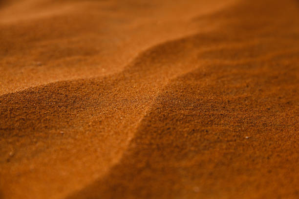 istock Sand dunes in Dubai, United Arab Emirates 962963040