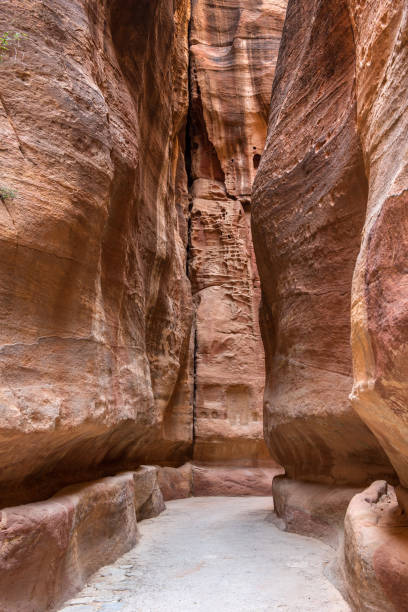istock The Siq, a sandstone canyon in Petra, Jordan 962969370