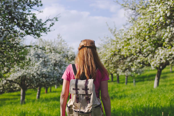 istock Blond hair woman with backpack standing in blossoming orchard at spring. 962970414