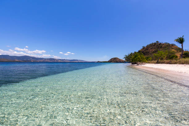 istock Swim-worthy water in Flores 962970464