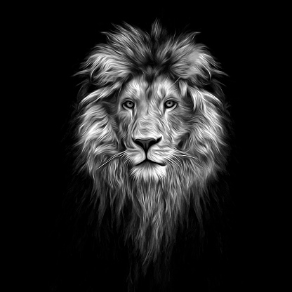 Portrait of a Beautiful lion, lion in the dark, oil paints