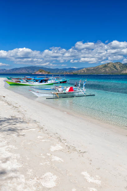 17 島国立公園ビーチ - tenggara ストックフォトと画像