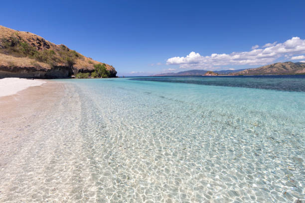 istock Seventeen Island National Park Beach 962973858