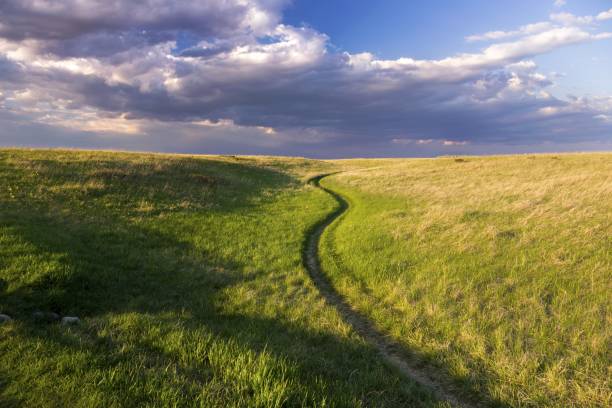 le parc naturel prairies nose hill public calgary alberta printemps - national grassland photos et images de collection