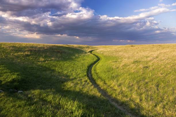 Natural Grassland Nose Hill Public Park Calgary Alberta Springtime