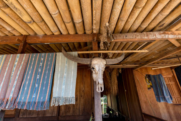 istock Large water buffalo skull and beautiful weaving 962975116