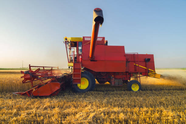 istock Combine harvester harvesting wheat 962978910