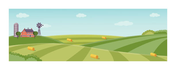 illustrazioni stock, clip art, cartoni animati e icone di tendenza di sfondo rurale vettoriale, campo di erba verde - agriculture field tractor landscape