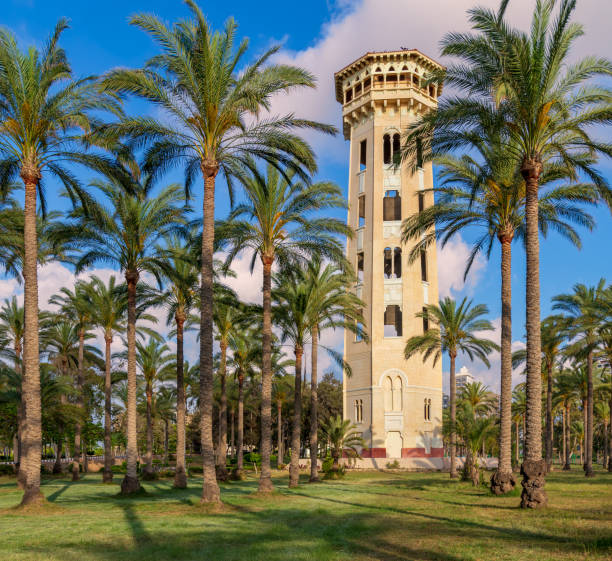 istock Old decorated antique elevated water tank framed by high palm trees before sunset with partly cloudy blue sky 962983024