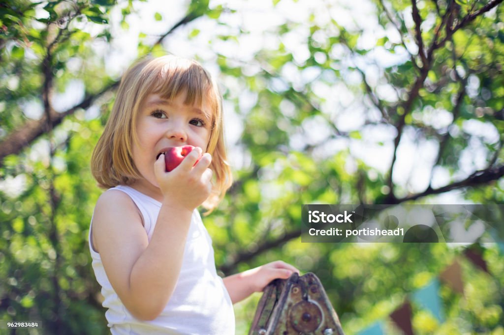 Kleines Kind Kommissionierung Pfirsiche - Lizenzfrei Kind Stock-Foto