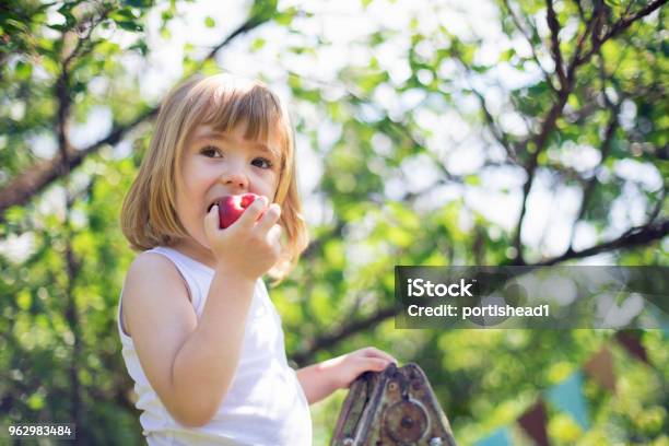 Kleines Kind Kommissionierung Pfirsiche Stockfoto und mehr Bilder von Kind - Kind, Essen - Mund benutzen, Obst