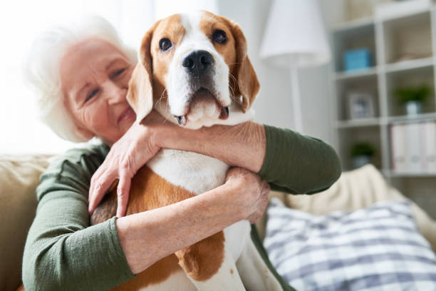 istock Senior Woman with Loved Pet 962984058