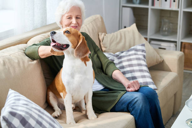 istock Senior Woman with  Pet Dog 962984074
