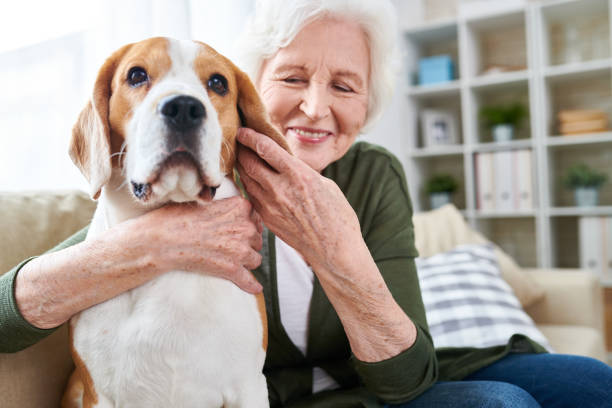 istock Happy Senior Woman Hugging Dog 962984086