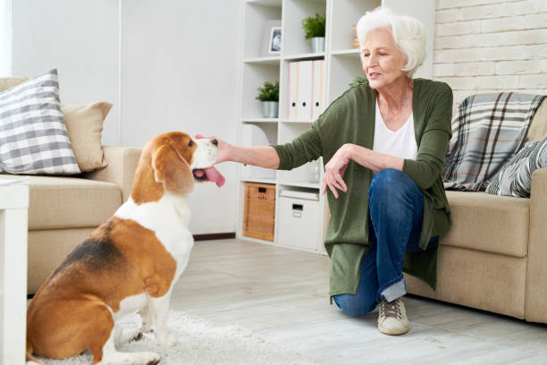 istock Smiling Senior Woman Playing with Dog 962984172