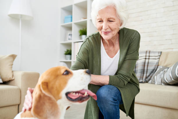 istock Senior Woman  with Dog 962984208