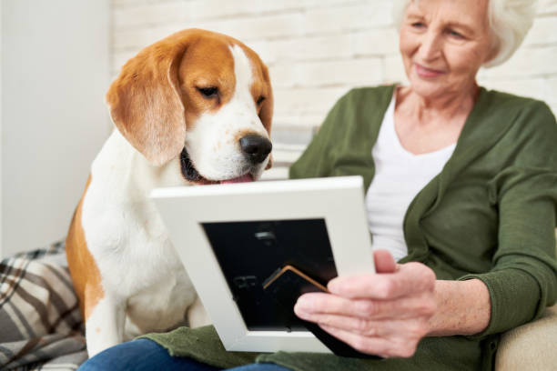 istock Lonely Senior Woman Looking at Photos 962984242