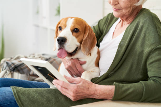 istock Lonely Senior Woman with Dog 962984272