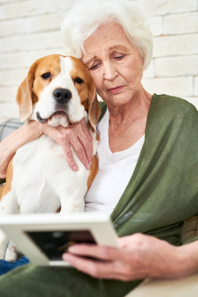 istock Sad Senior Woman Hugging Dog 962984332