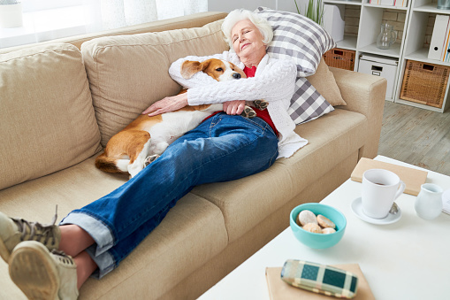Full length high angle portrait of white haired senior woman sleeping on couch hugging her dog enjoying afternoon nap at home, copy space