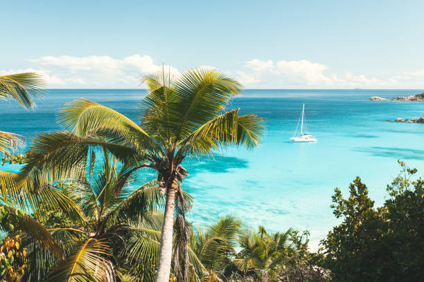 Turquoise sea in Seychelles stock photo