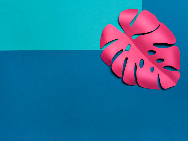 istock Still life minimalist of a red paper monstera. 962995618