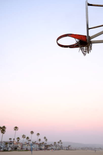 istock Basketball hoop and palm trees 962999796