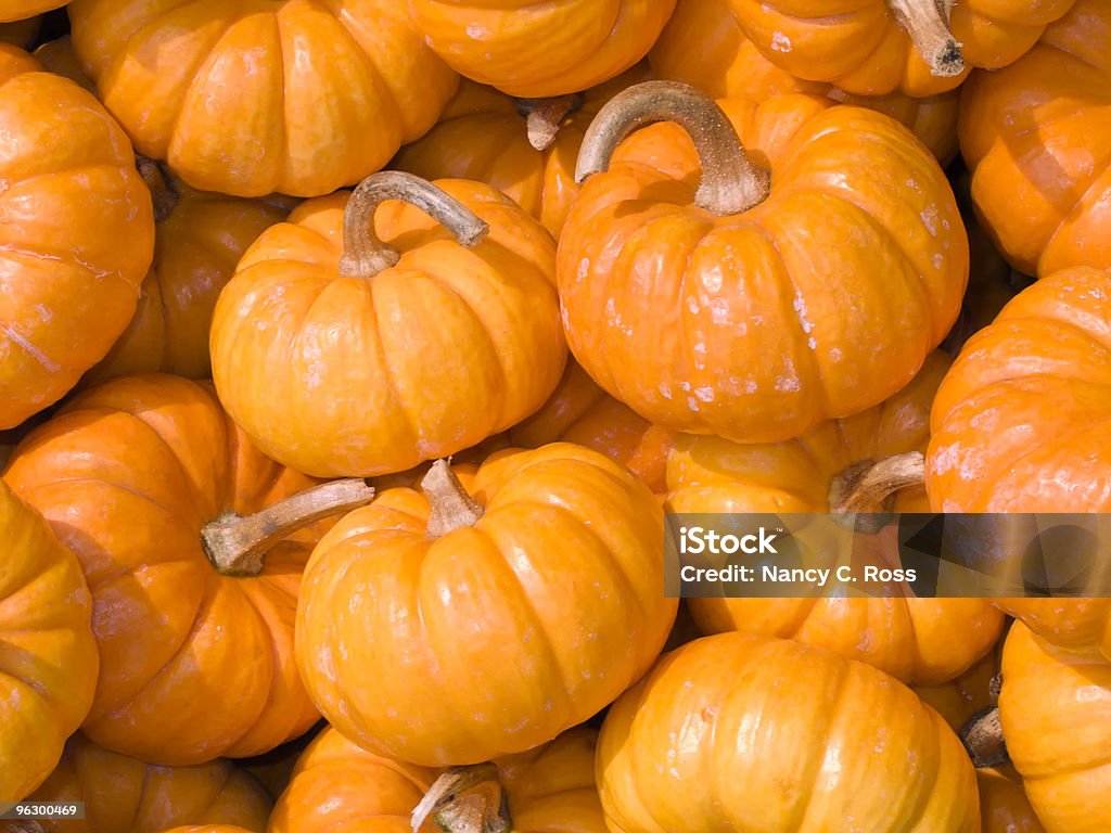 Halloween, de potirons, de l'automne, l'automne, Harvest, Jack citrouille, la saison - Photo de De petite taille libre de droits