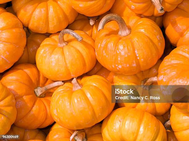 Pumpkins Хэллоуин Осень Осень Уборки Джекolantern Сезон — стоковые фотографии и другие картинки Маленький