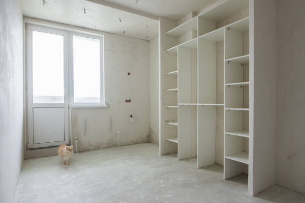 istock A cat walks through an empty room in a new building 963004978