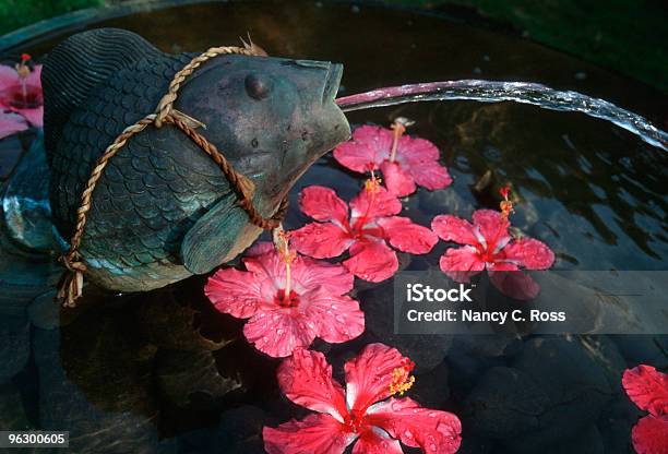Spouting Fischbrunnen Wasserspiele Ziergarten Schwimmende Blüten Stockfoto und mehr Bilder von Auf dem Wasser treiben
