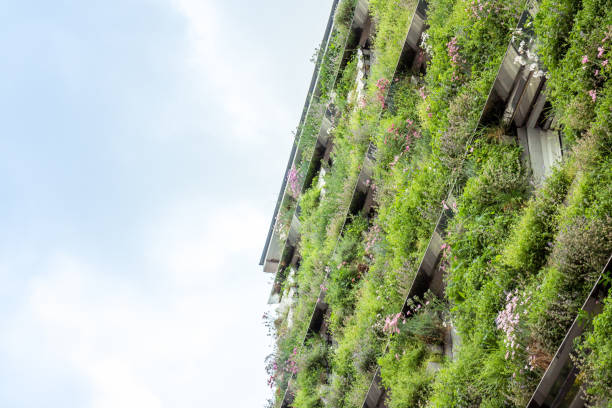 istock View at modern building with facade covered in plants and flowers 963027610